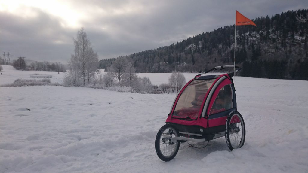 Trening biegowy z dzieckiem wg elemeno nawet w zimie. Pomaga Nordic Cab